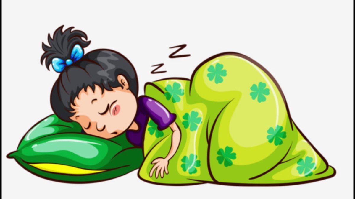 Лентяй спит