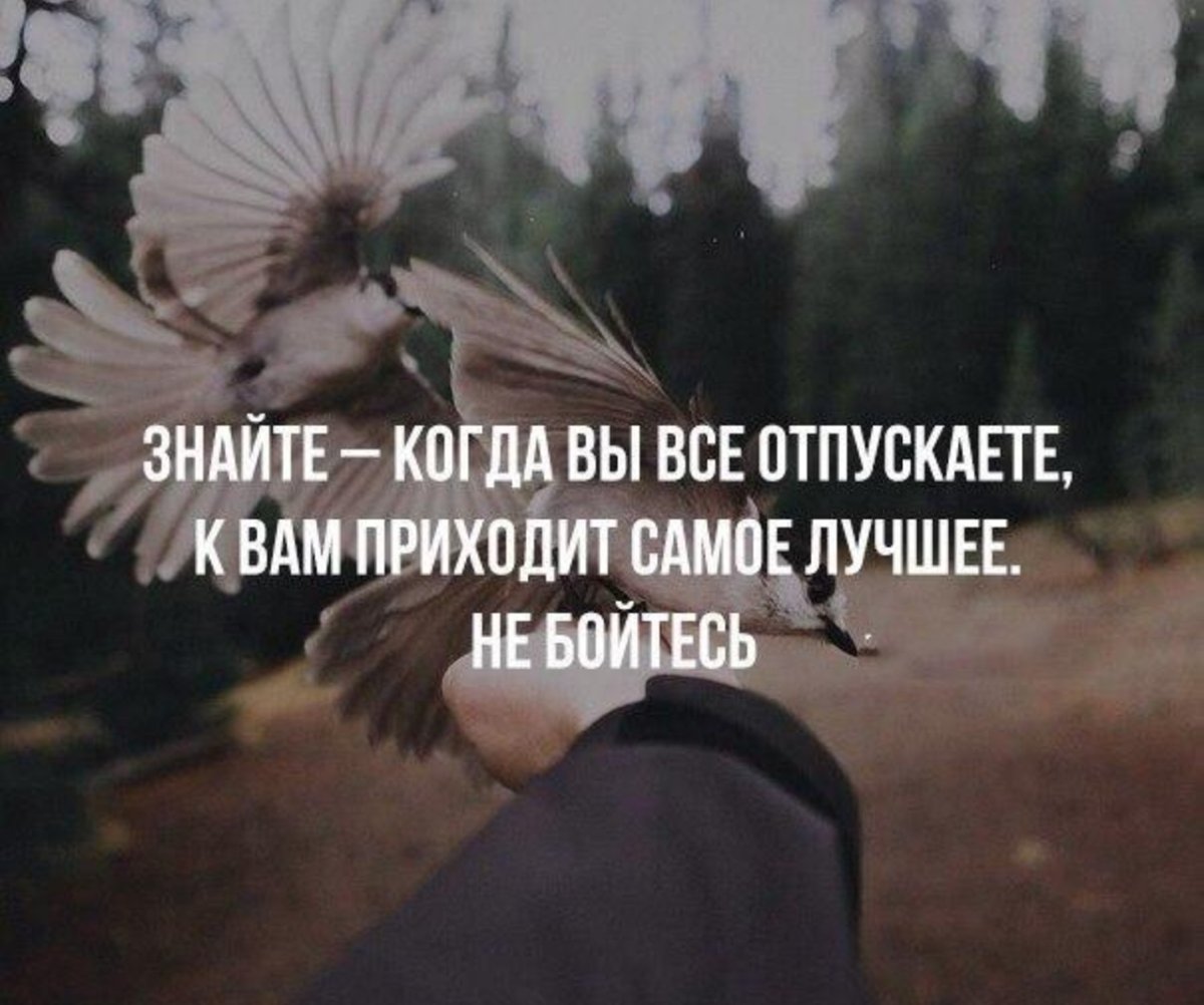 Отпустить цитаты