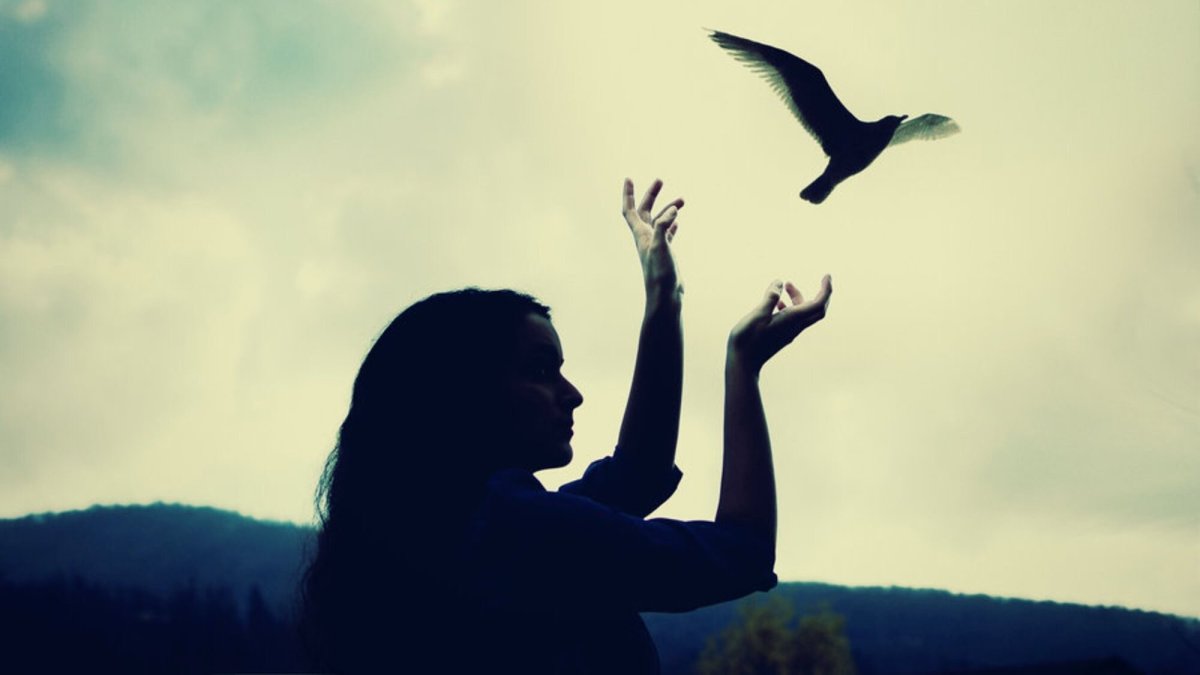 Девушка выпускает птицу