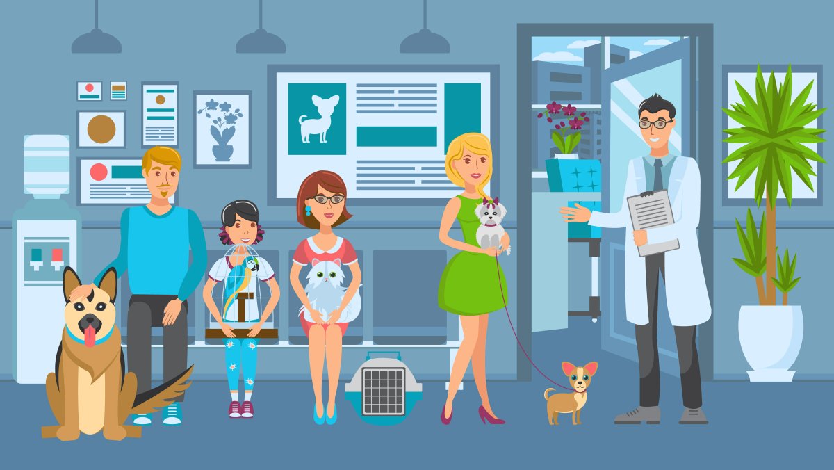 Плакаты для ветеринарной клиники