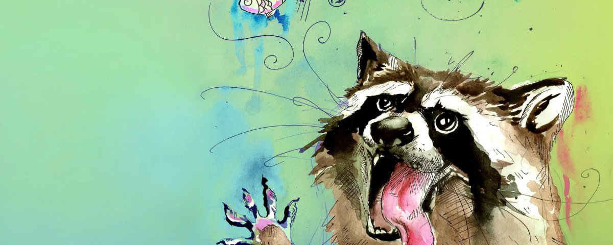 Енот полоскун аниме