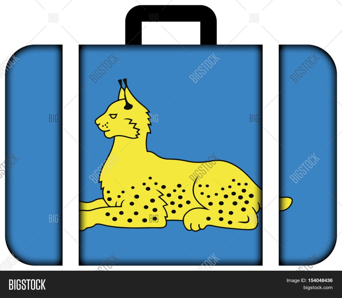 Флаг Гомеля