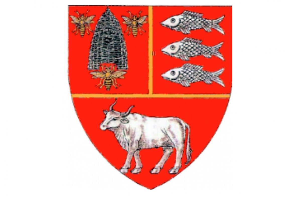 Герб Светлогорска