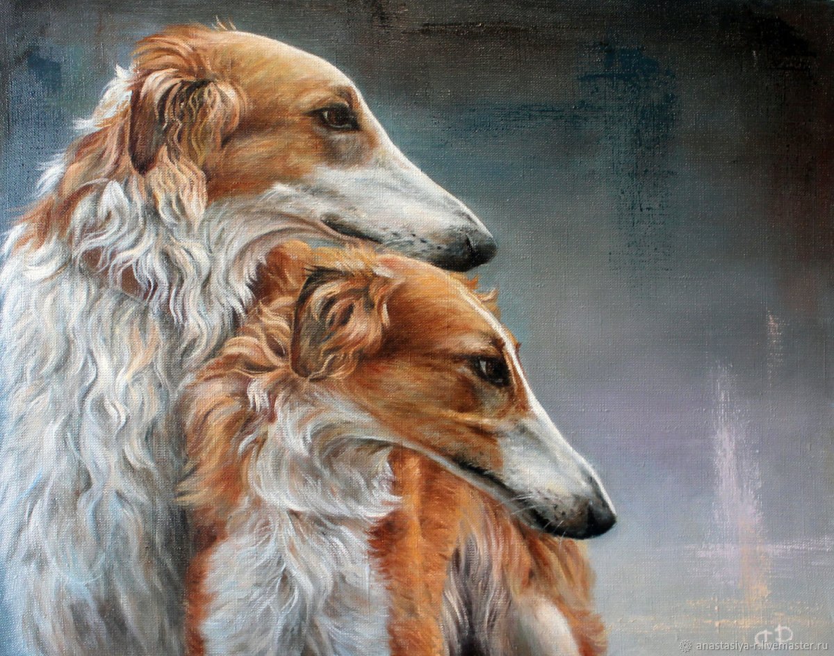 Русская псовая борзая на картинах