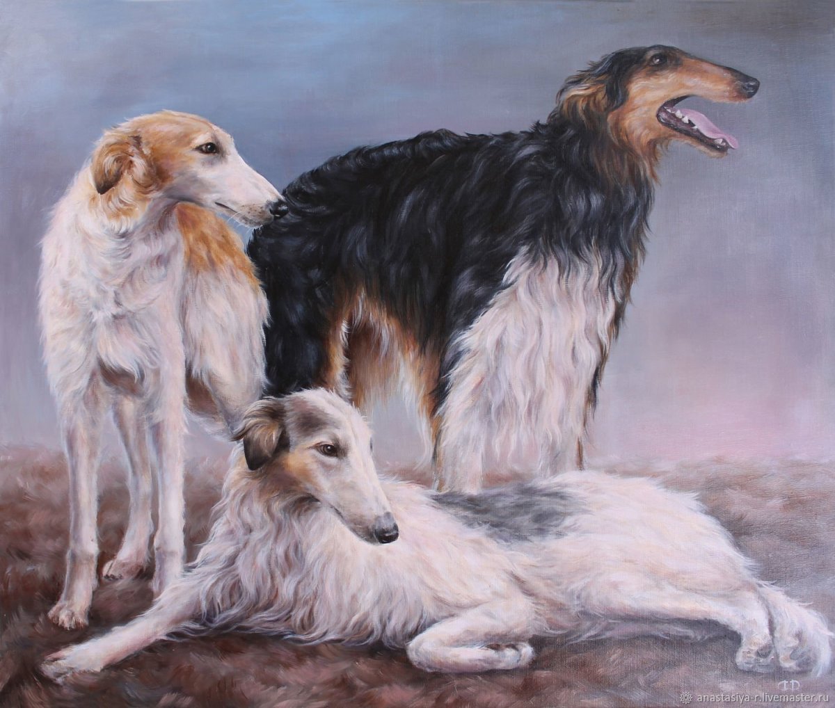 Русская псовая борзая Эрис