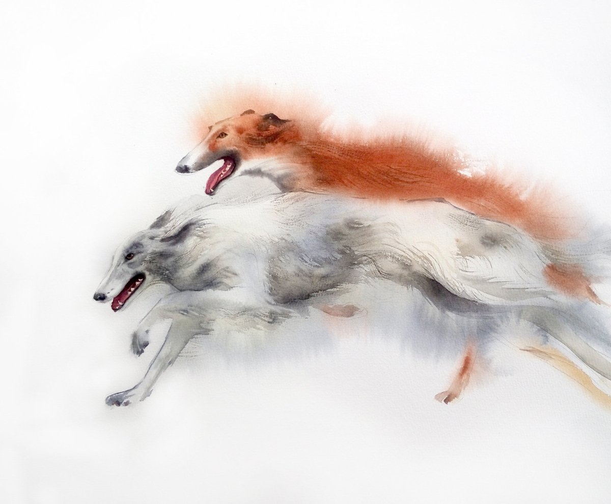 Русская псовая борзая арт