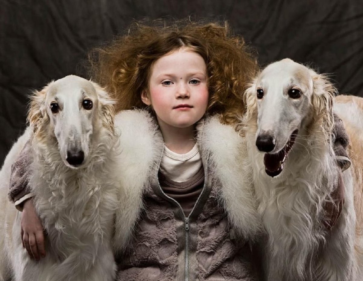 Русская псовая борзая с ребенком