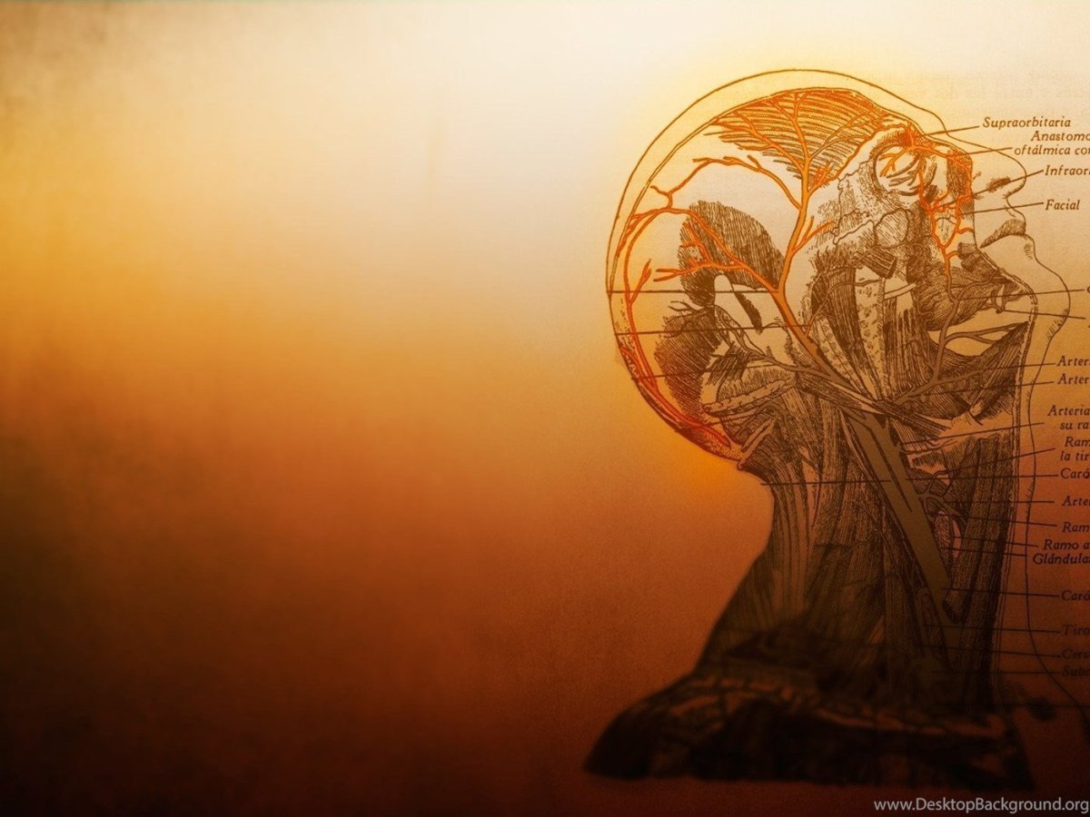 Фон для презентации философия