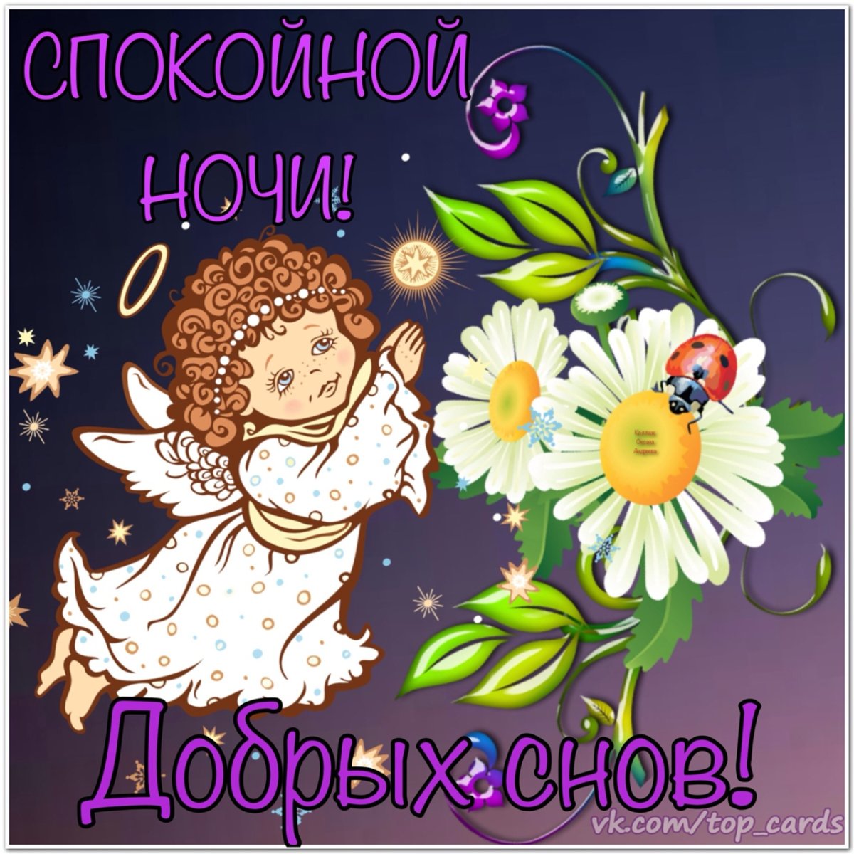 Кентаро Нишино тигры