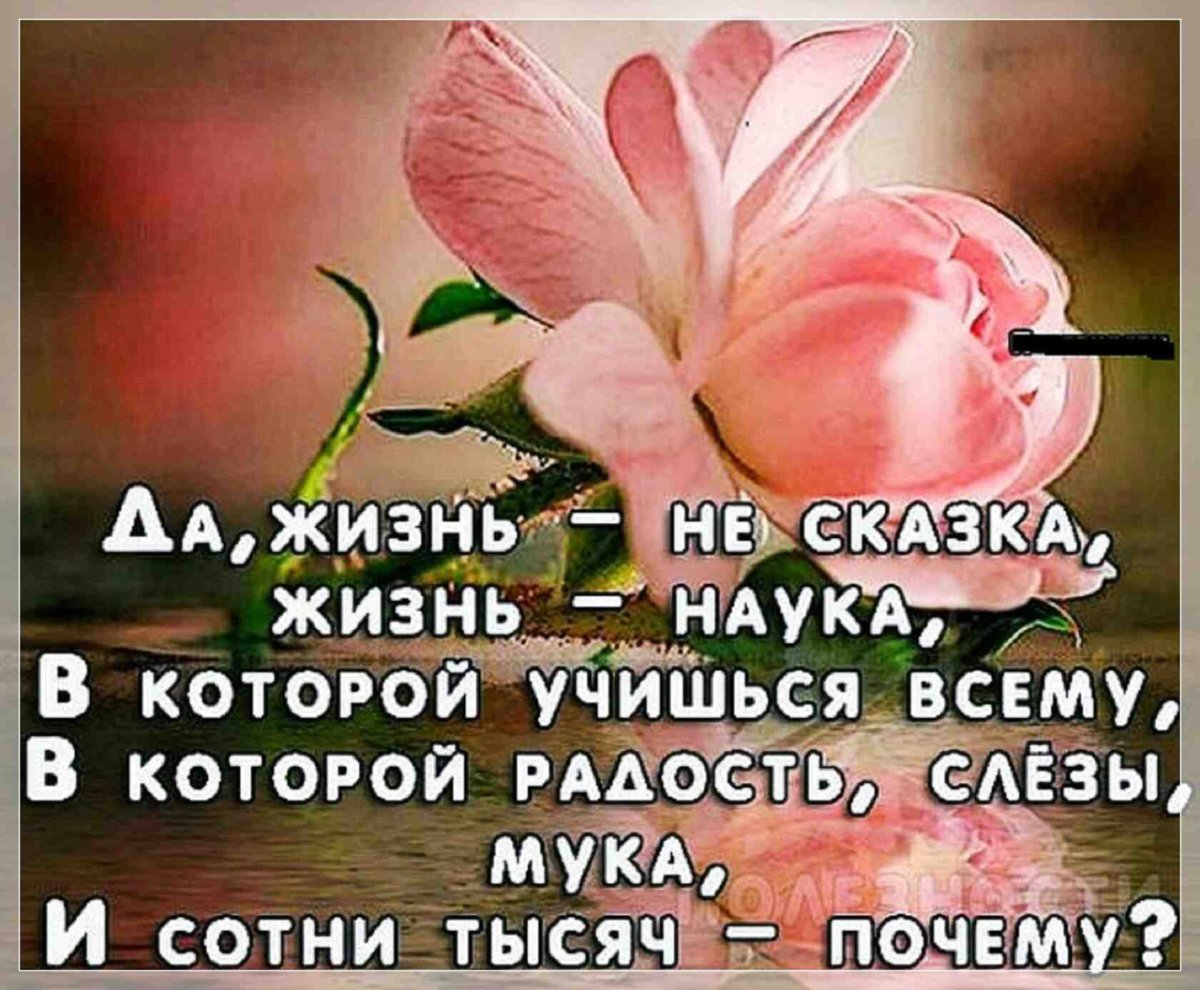 Мелькнула жизнь я оглянуться не успела