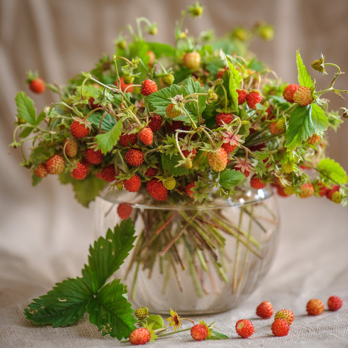 Летний букет с ягодами