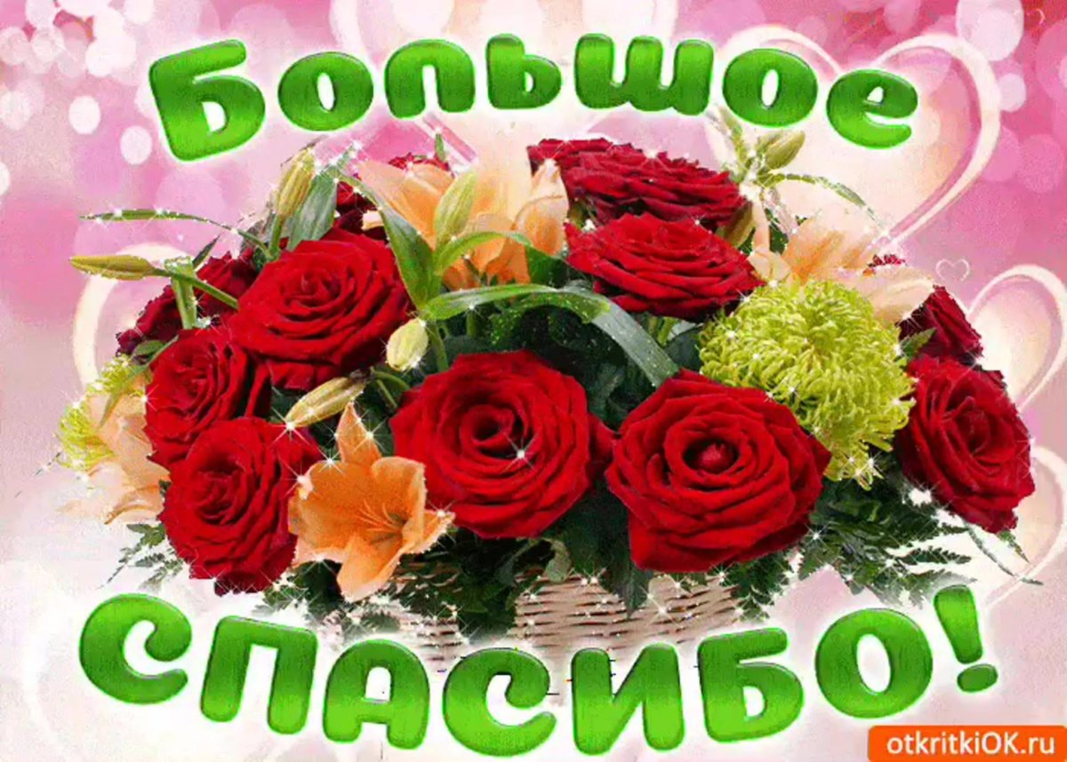 Спасибо Олег