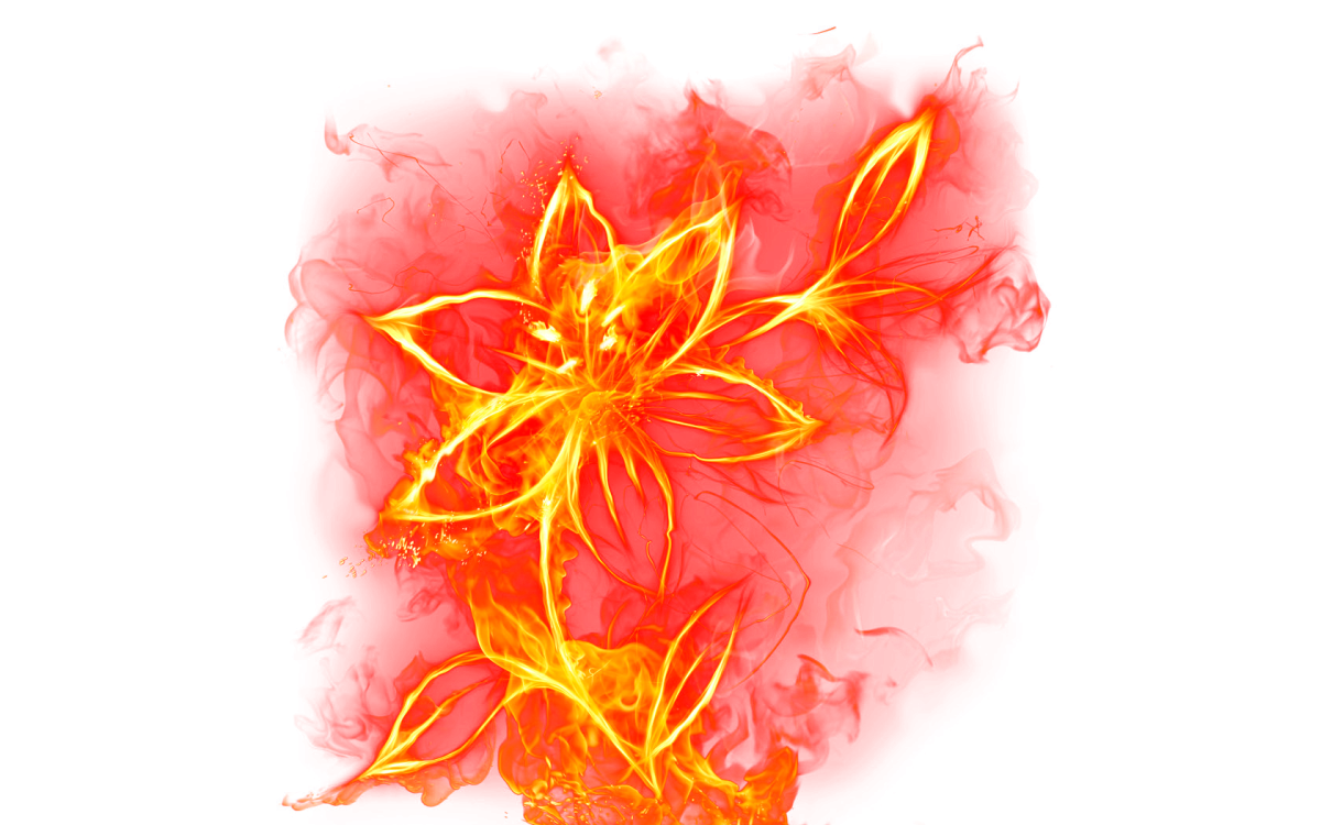 Огненный цветок