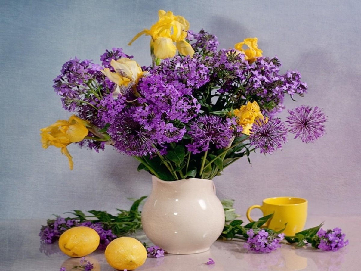 Анимация здоровья и всех благ