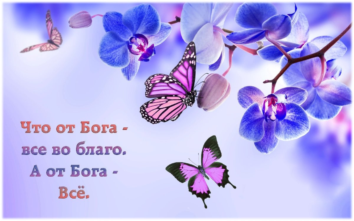 Надпись всех благ с днём рождения женщине