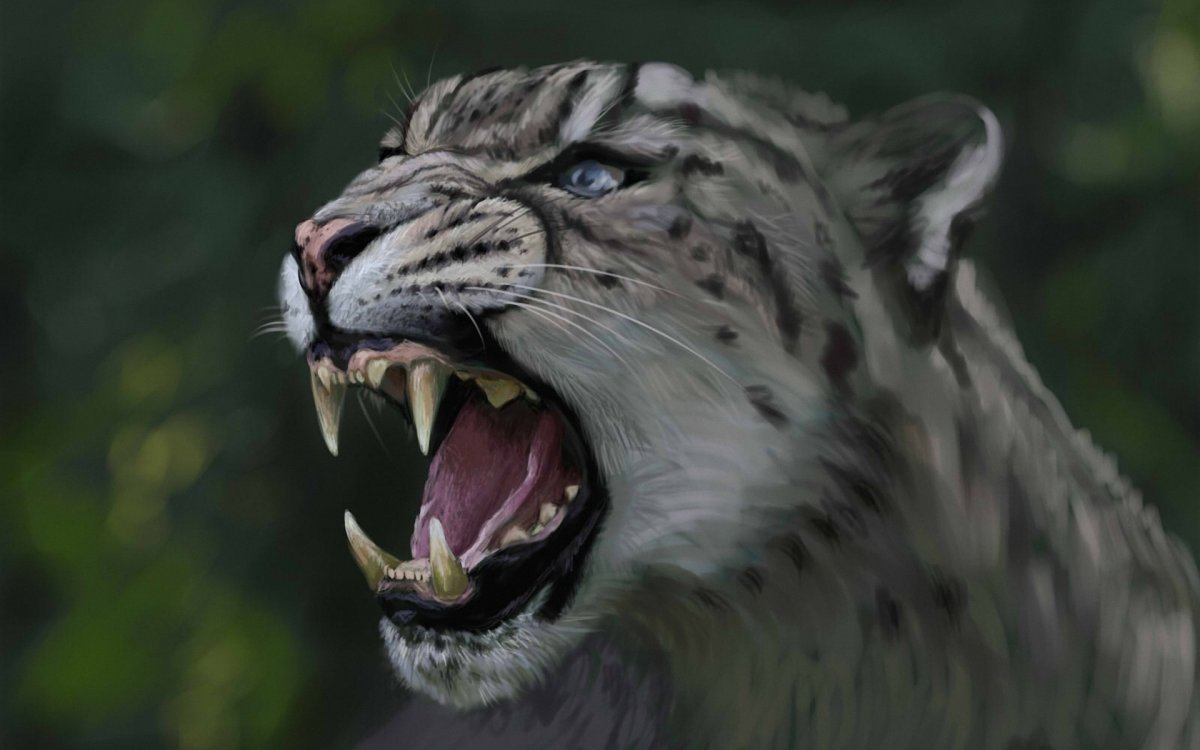 Оскал на заставку