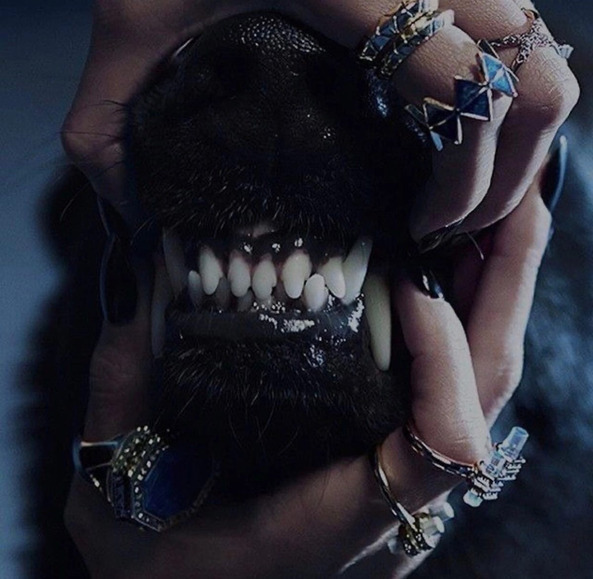 Кровавая милота Алекс Солис