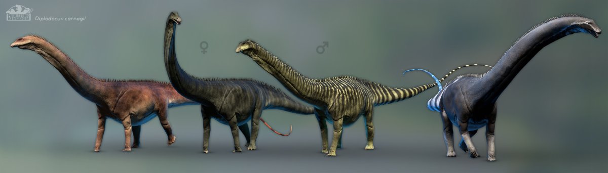 Прогулки с динозаврами Диплодок