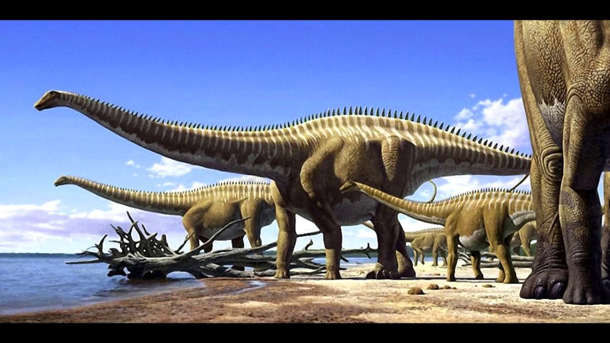 Гигантские травоядные динозавры зауроподы