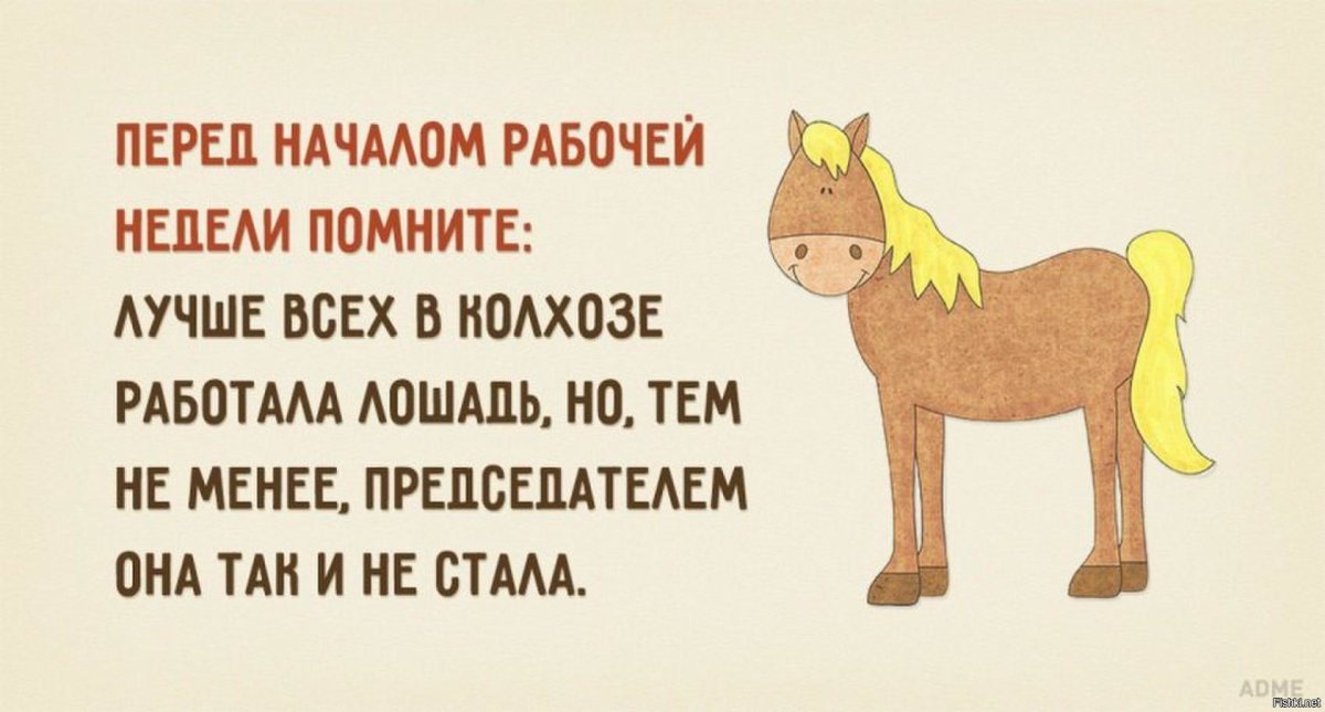 Мопс на коне