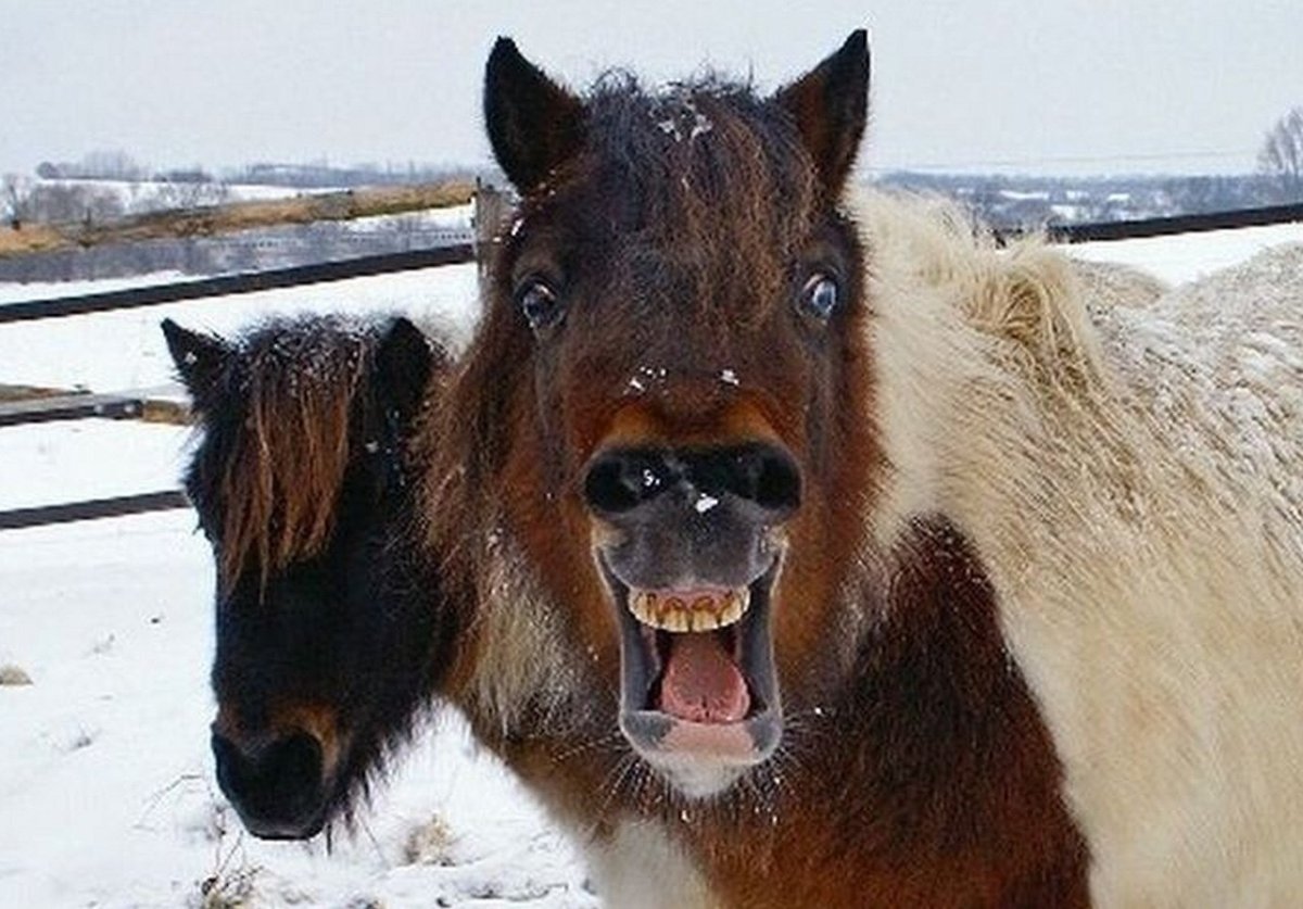 Статусы про работу прикольные