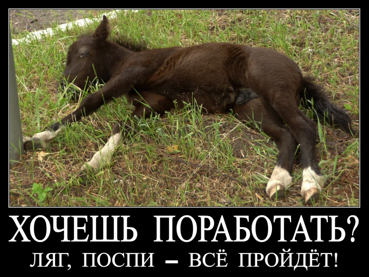 Стих я люблю свою работу