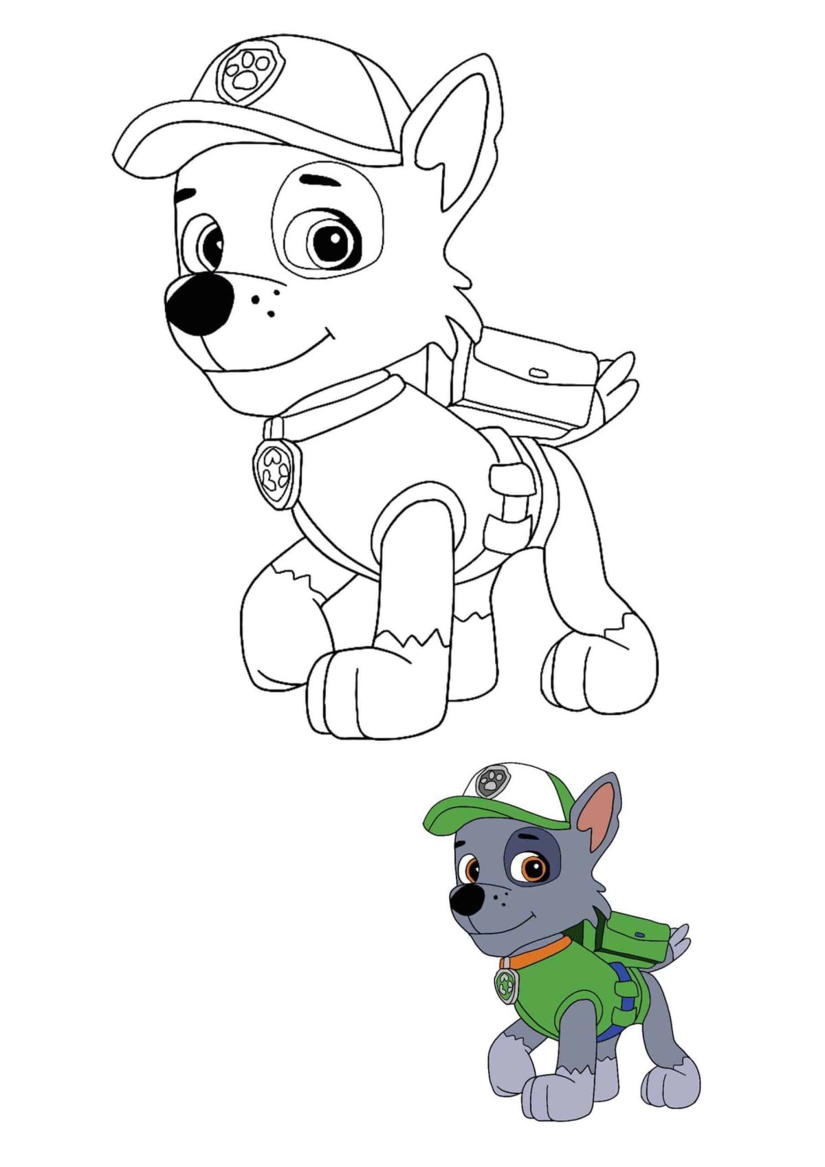 Paw Patrol день рождения Рокки