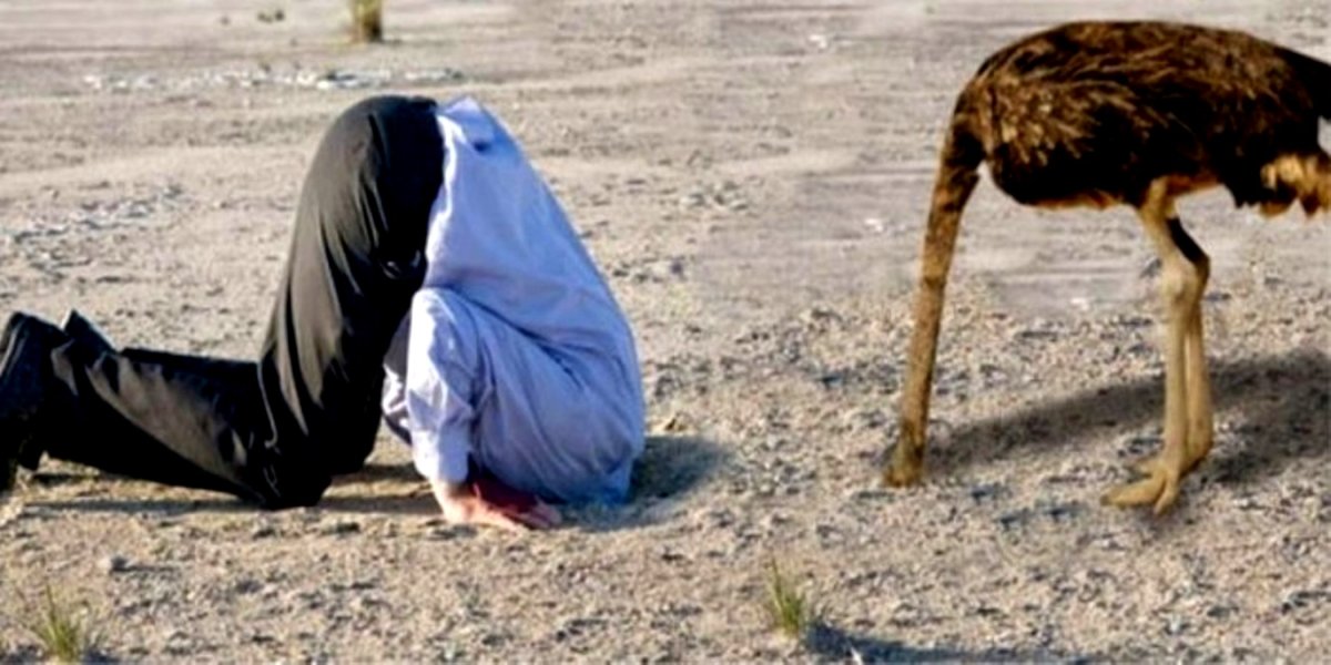 Страус прячет голову в песок