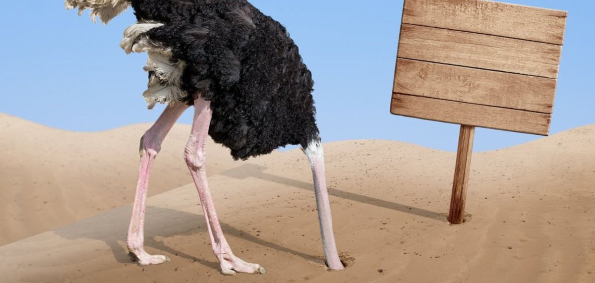 Страусиная голова в песке