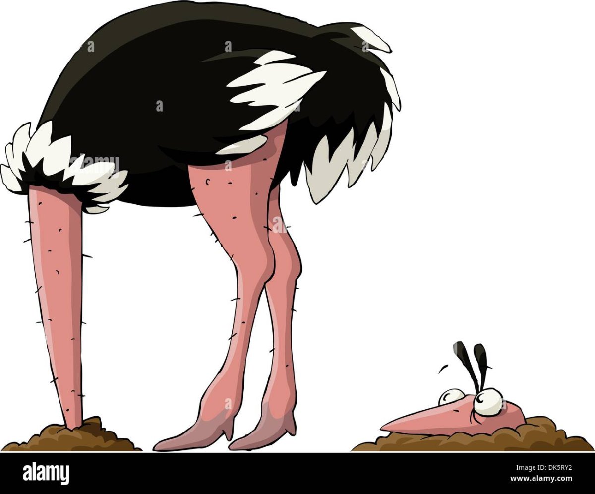 Страус спрятал голову в песок