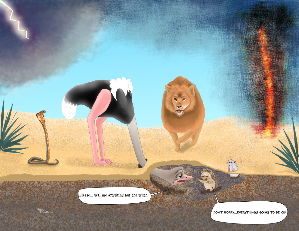 Страус прячет голову в землю