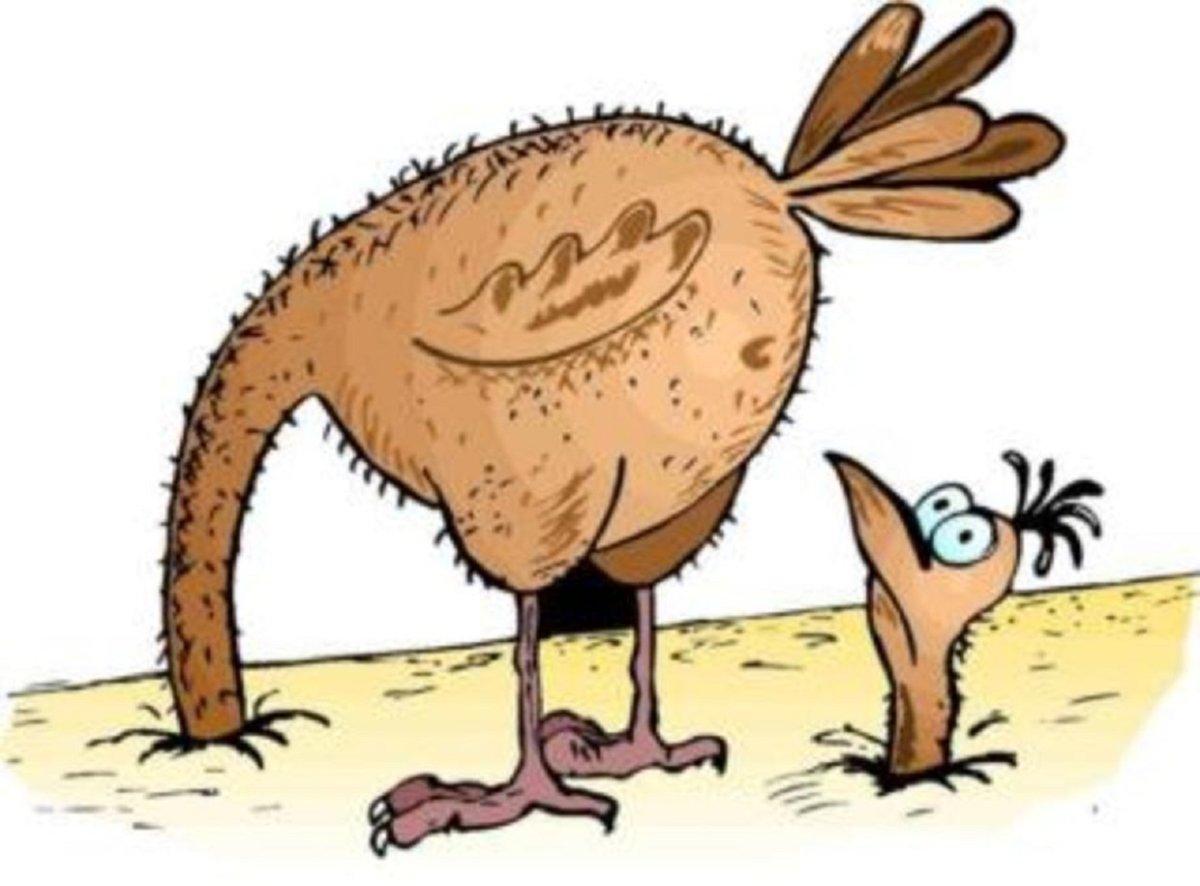 Страус нанду голова