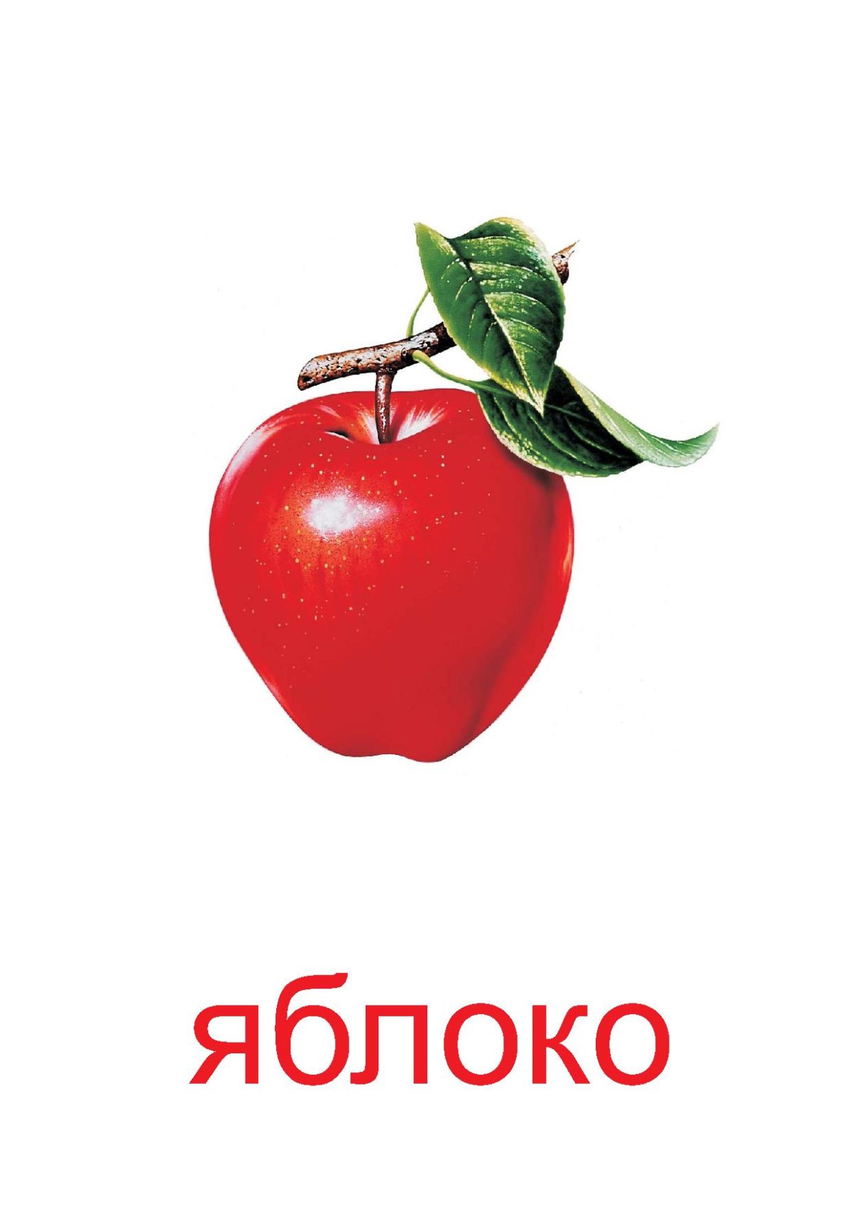 Яблоко рисунок