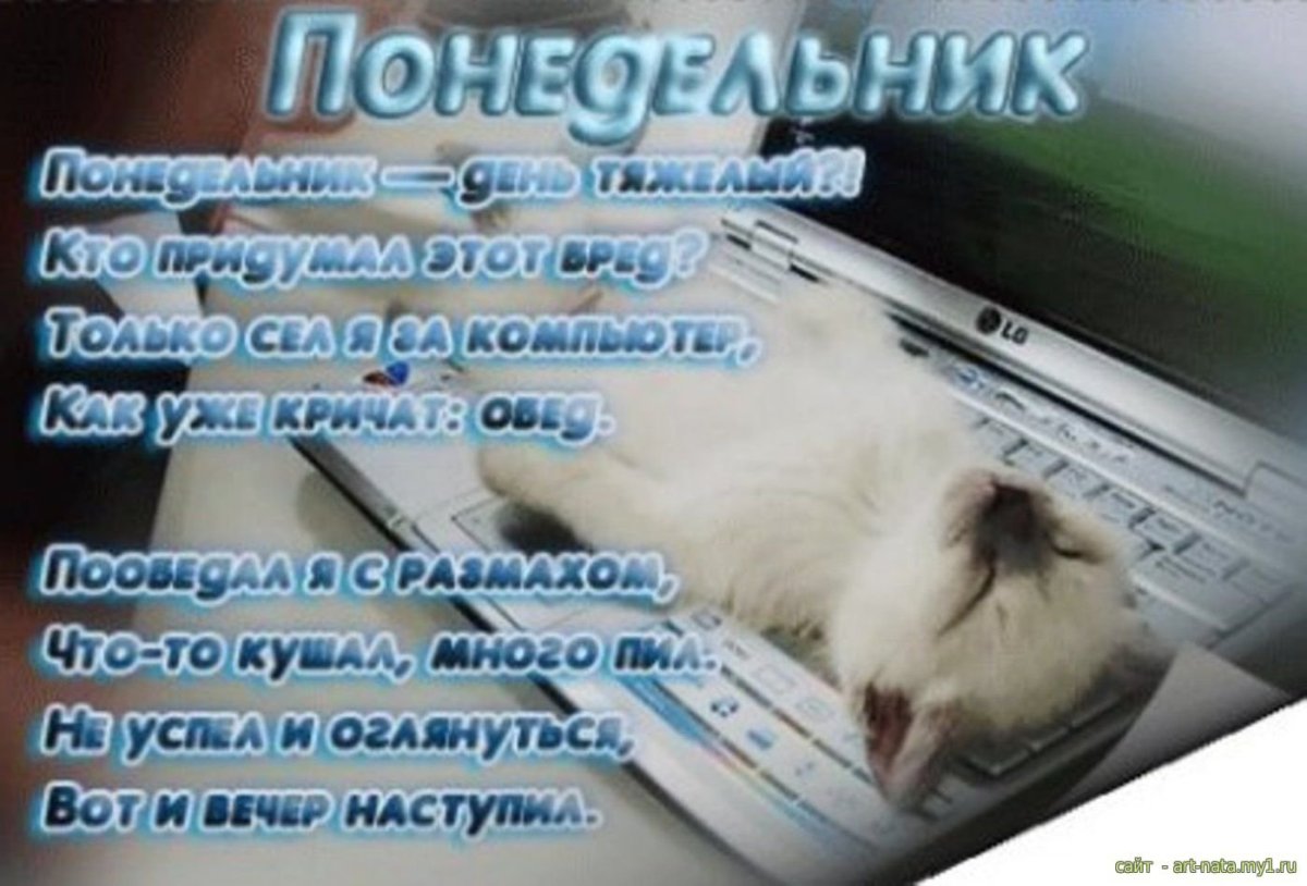 Добрый вечерпонеделника