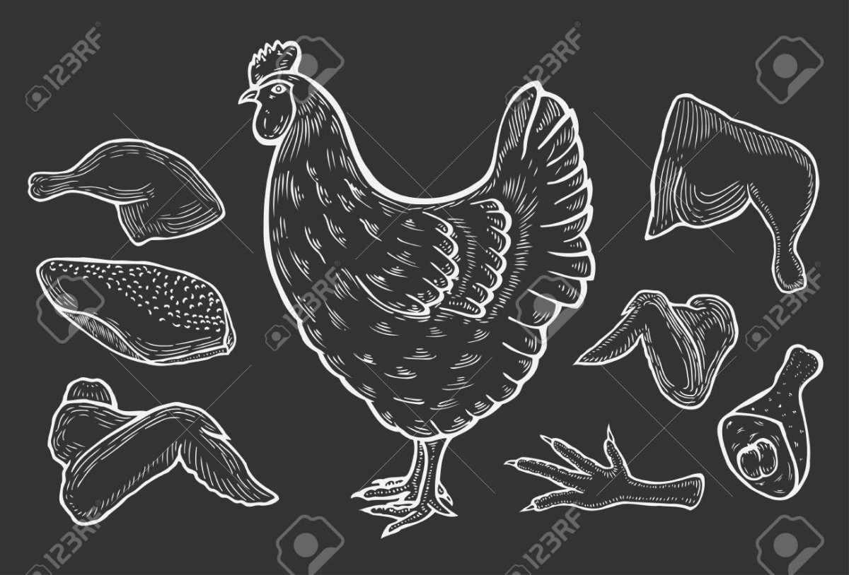 Мультяшная стилизованная курица