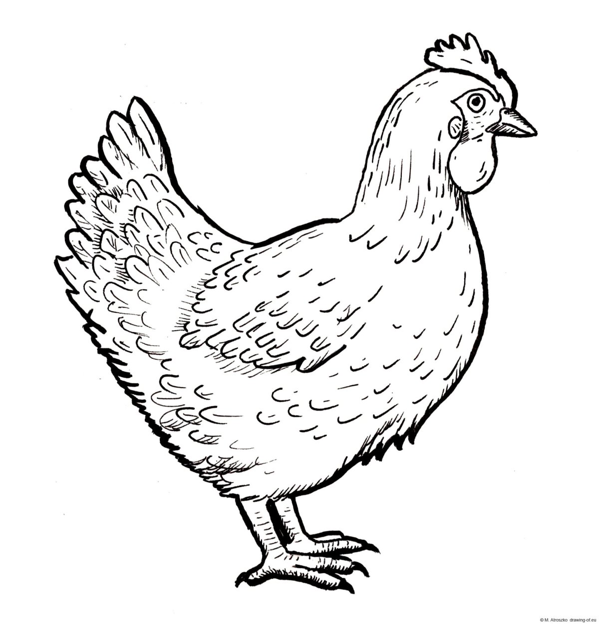 Значок курица