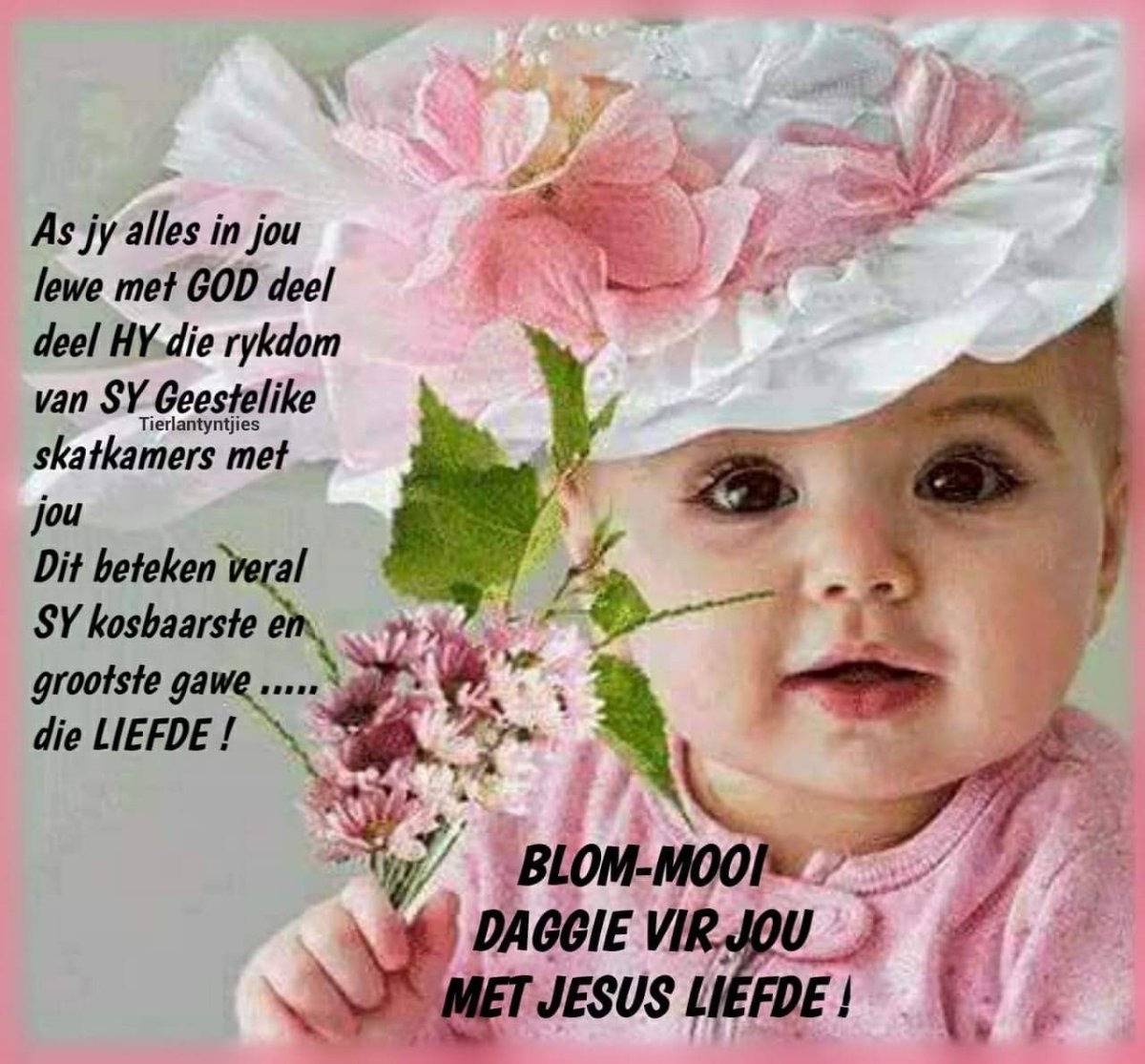 Красивые детки доброго дня