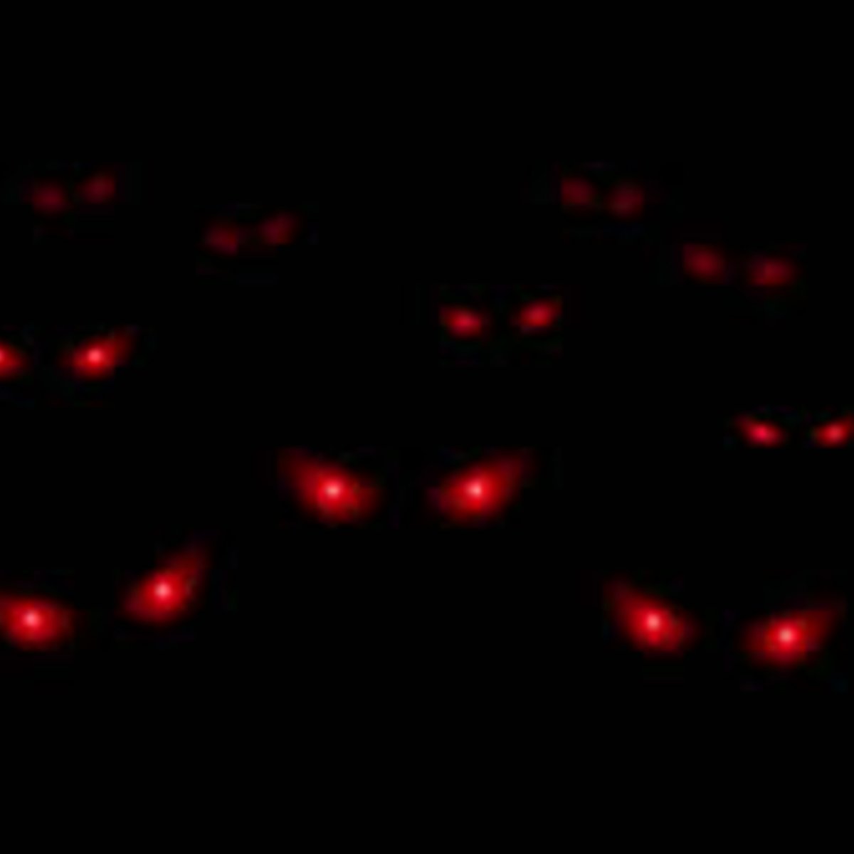 Девушка с горящими глазами