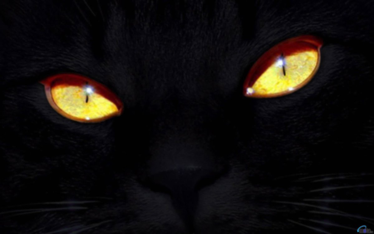 Красные глаза в темноте
