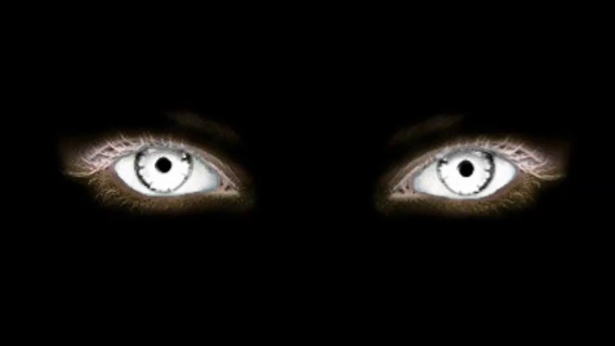 Глаза кошки в темноте