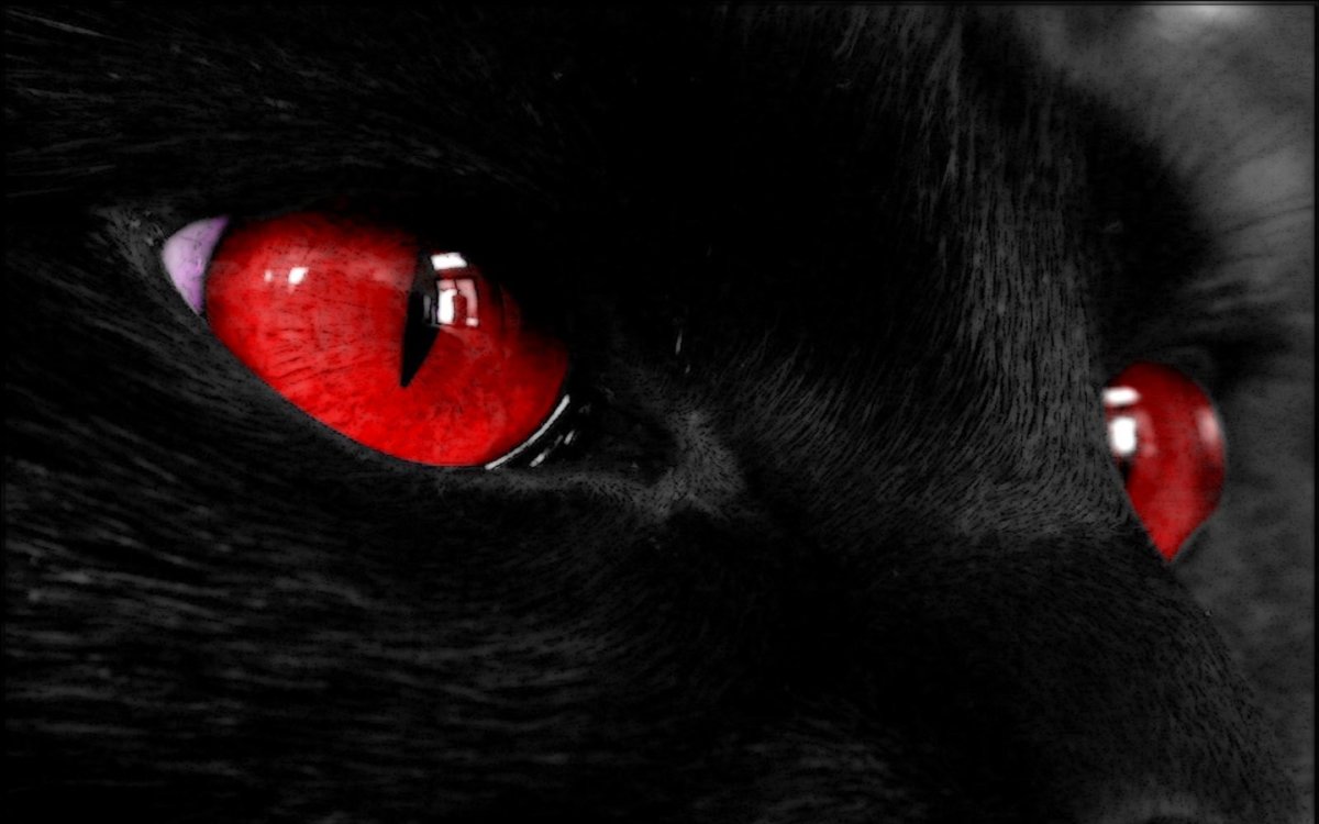 Светящиеся глаза