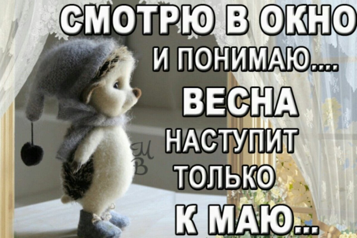 Тюльпаны под снегом