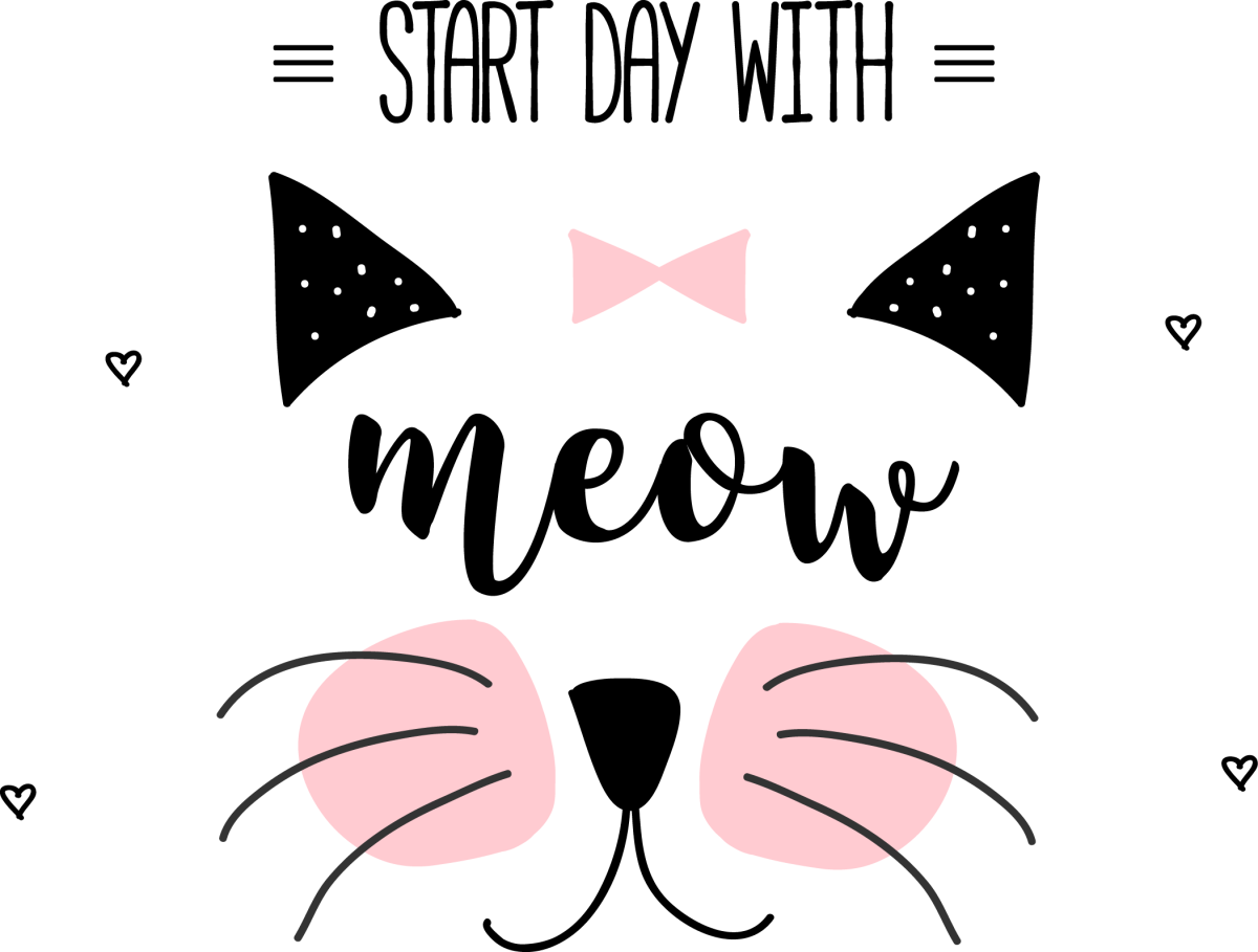 Ушки и усы котика