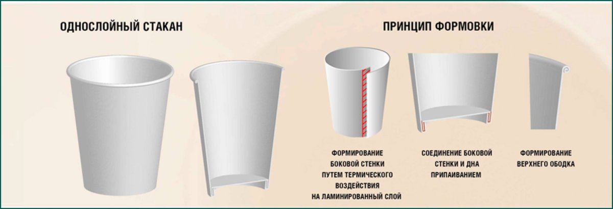 Развертка бумажного стаканчика