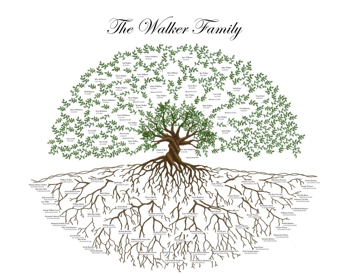 Рисование креативных деревьев