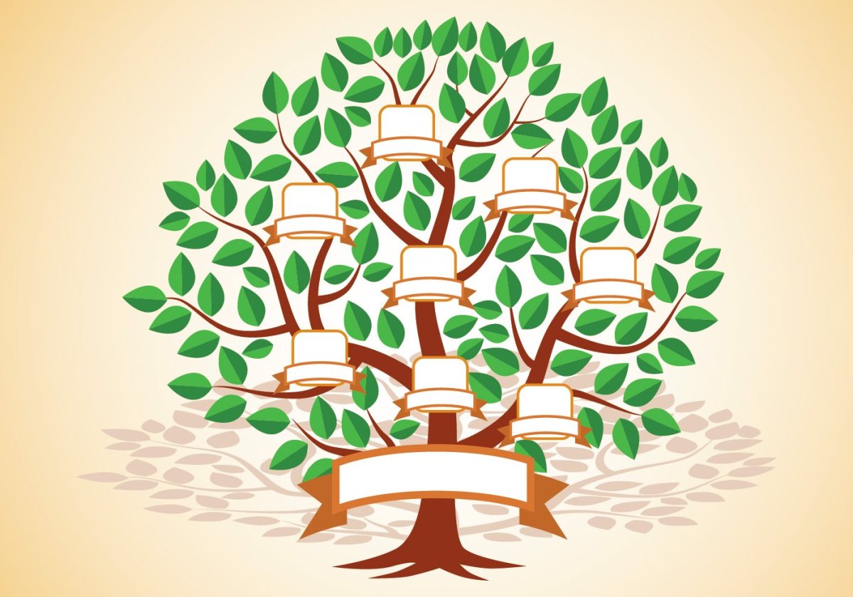 Сказочное дерево