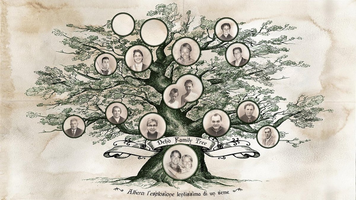 Генеалогическое дерево на стене