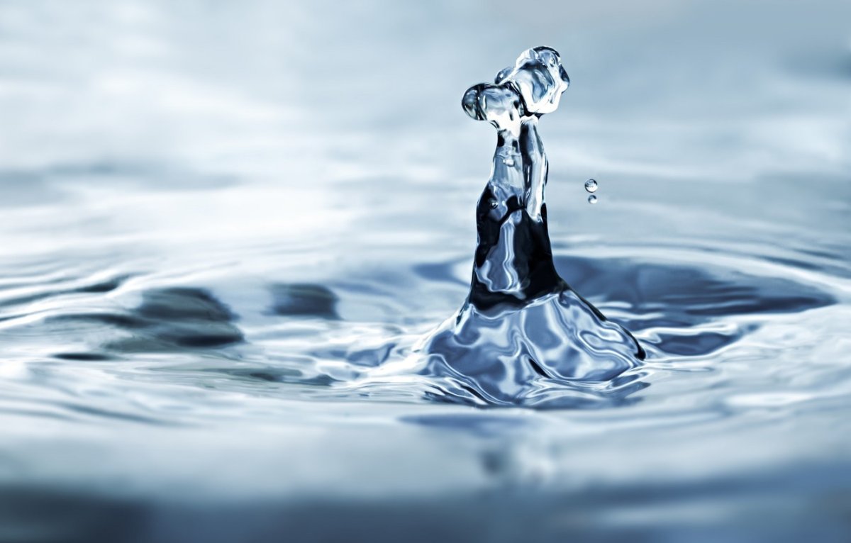 Морская черепаха на волне