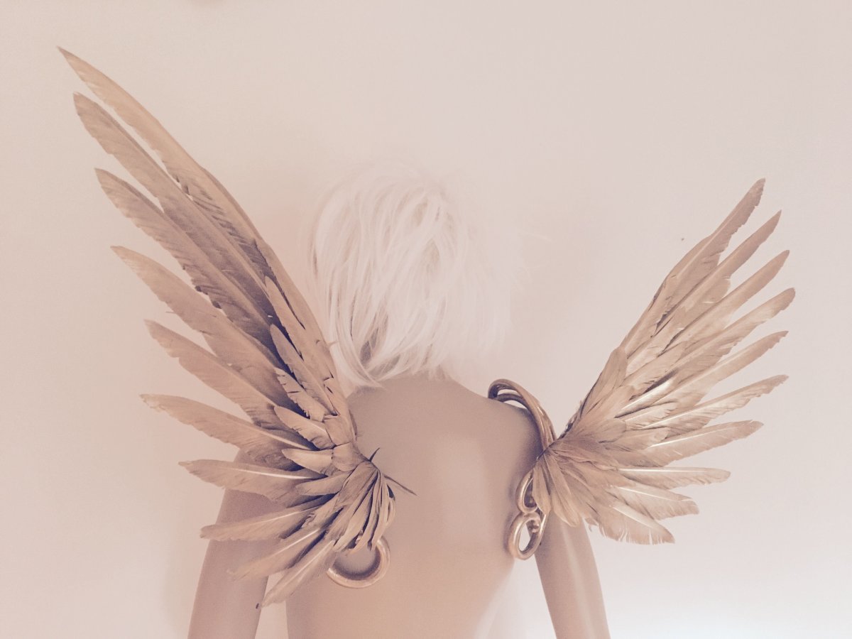 Бежевые Крылья