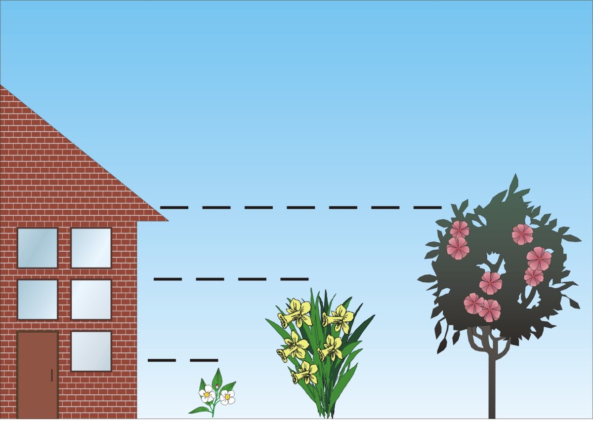 Лес рисунок